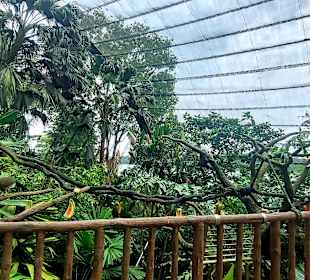 Singapur Zoo