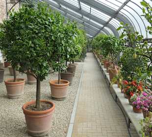 Bei den Schauhäusern im Botanischen Garten