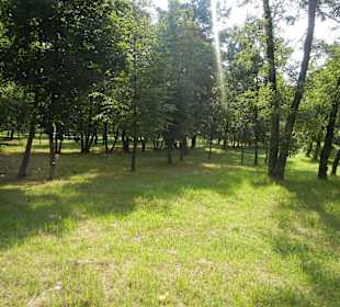 Militaerpark Rembertów