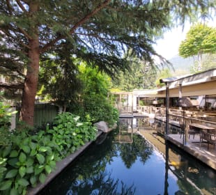 Gartenanlage