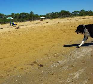 Sind da Gegner grrrr