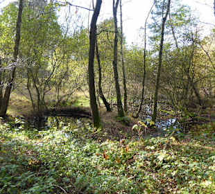 Abwechslungsreicher Weg 