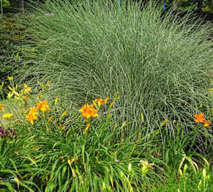 Eindrücke vom Rundgang durch den Park der Gärten