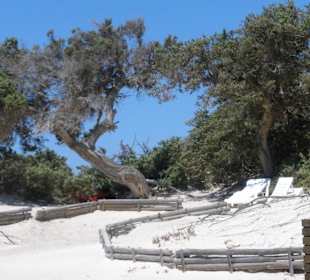 Weg zur anderen Seite