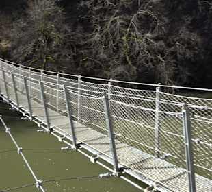 Hängebrücke im Fürstlichen Park
