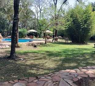 Campanlage mit Besuch