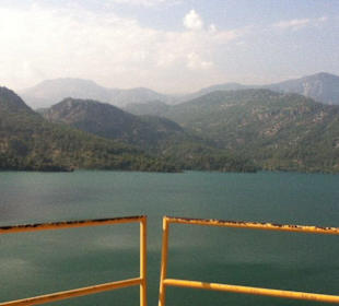 Sieht das nicht schön aus