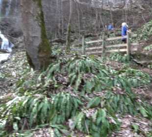 Bad Uracher Wasserfall