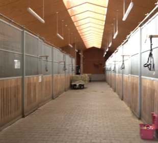 Haupt- und Landgestüt Marbach