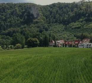 Wander- und Radweg Donau