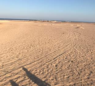 Wüste beim Kamelreiten