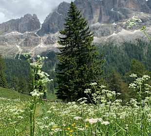 Wandern Nova Ponente / Deutschnofen