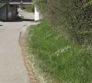 Wanderweg Firstwaldrunde