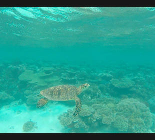 Insel Kagi