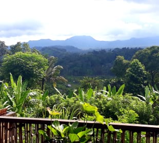 Ausblick von der Terrasse