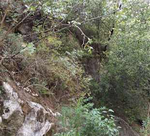 Gizli Cennet(Hidden Paradise)