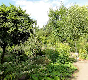 Rundgang durch den Botanischen Garten Oldenburg