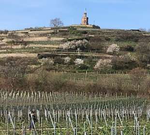 Wandern Bad Dürkheim