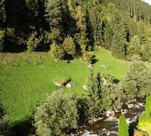 Wandern Ahorn Mayrhofen
