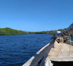 Einfahrt in die Mangroven