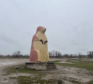 Badlands Ranch Store