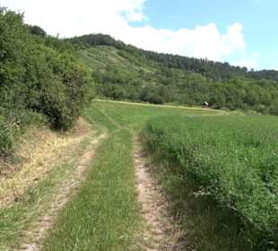 Wanderweg Ammerbucher Gigeleswegle