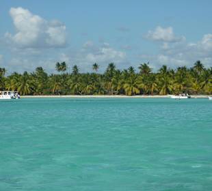 Saona
