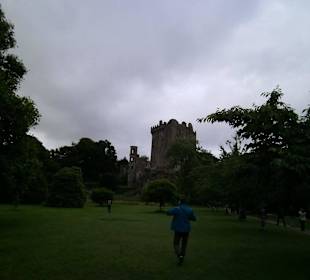 Blarney Castle