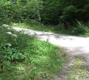 Sonnenaufgangs-Rundwanderung Rübgarten