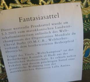 Fantasiesattel 