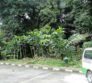 Ausflug Wildlife Expeditions