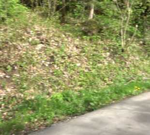 Wallfahrtskirche Mariazell Boll