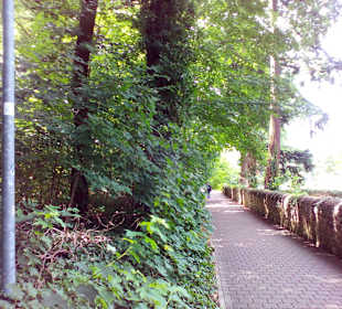 Glan-Blies-Rad- und Wanderweg in Homburg