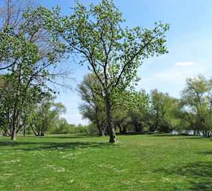 Liegewiesen am Ölpersee