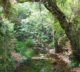 Mili Gorge Impression