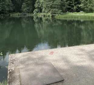 Kinzigsee