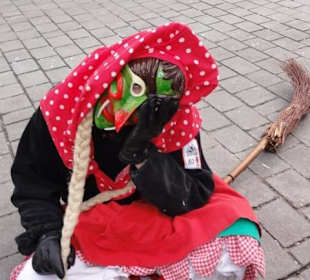 Kemptener Faschingsumzug 2015