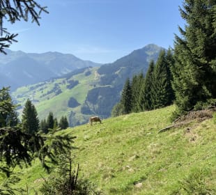 Sport & Freizeit