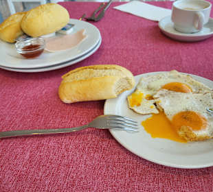 Gastro