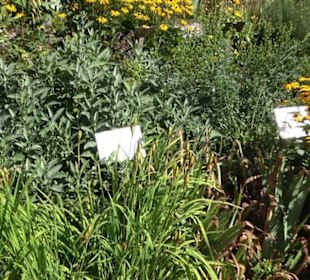 Klosterkirche Maria Gnadenzell