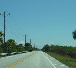 Straße Richtung Everglades