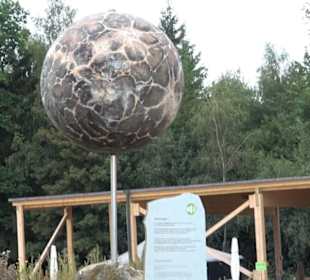 Dinosaurier Museum Altmühltal