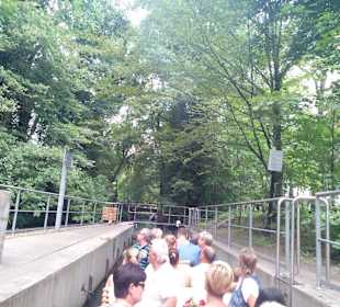 Großer Spreewaldhafen Lübbenau