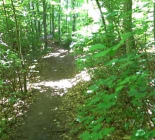 Premiumwanderweg "hochgelegen"