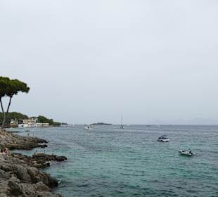 Insel Alcanada