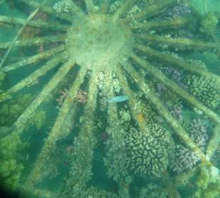 Морской мир возле отеля