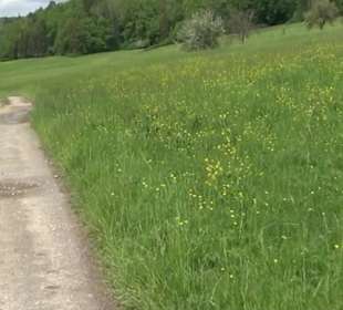 Naturpark Schönbuch