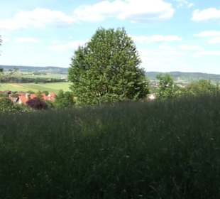 Kreuzweg zum Tannenrain