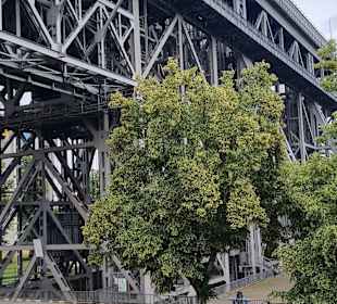 Blick auf das historische SHW