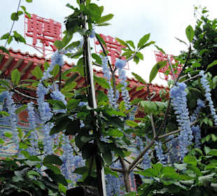 Świątynia Kek Lok Si